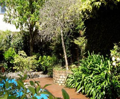 Bed and Breakfast Cotter House Luxury Retreat Окленд Екстер'єр фото