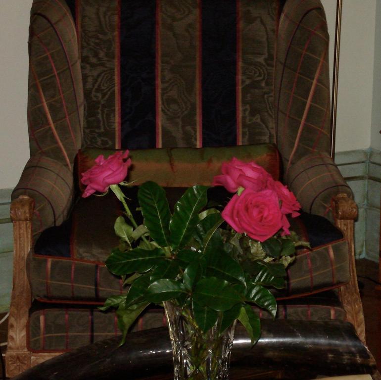 Bed and Breakfast Cotter House Luxury Retreat Окленд Екстер'єр фото
